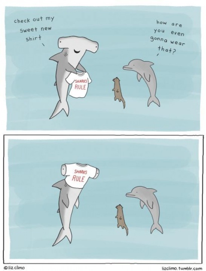 Sharks rule